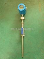 熱式質(zhì)量流量計